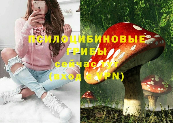 не бодяженный Осинники