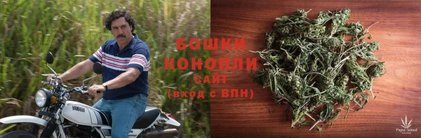 spice Пестово