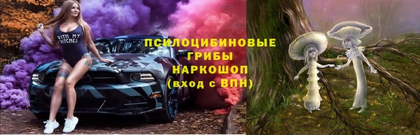 spice Пестово