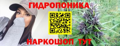 соль курить ск Заводоуковск
