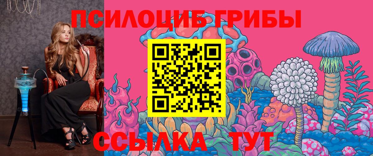 Галлюциногенные грибы MAGIC MUSHROOMS Мичуринск