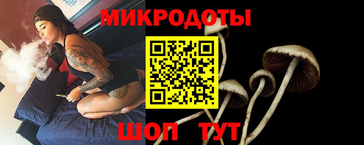 Мичуринск  Псилоцибиновые грибы мицелий  Галлюциногенные грибы Psilocybe  Вход с VPN 