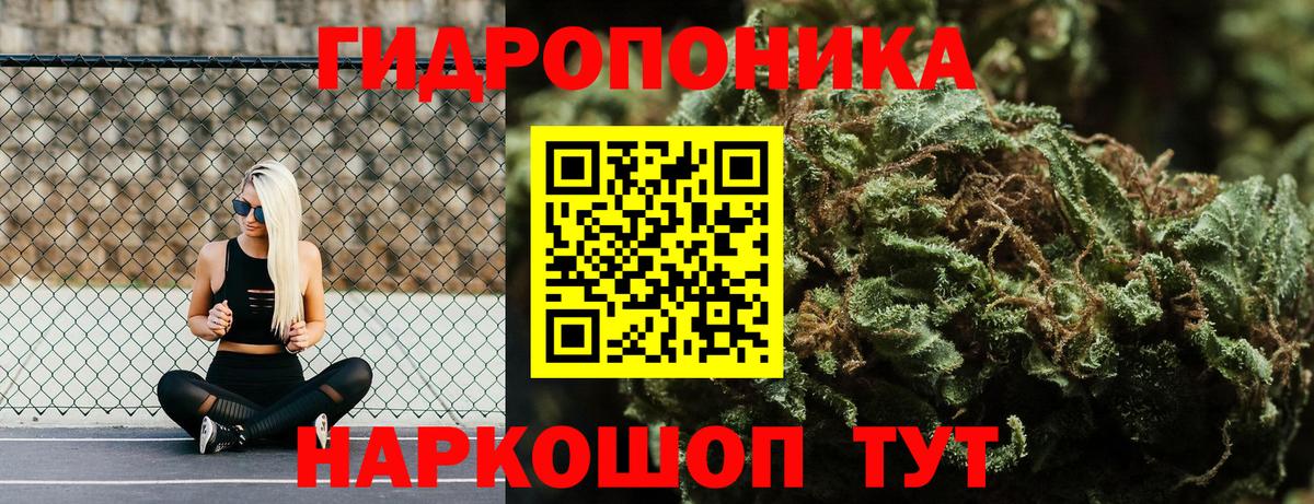 Марихуана семена  Бошки марихуана марихуана  Мичуринск  Марихуана конопля  Вход с VPN 